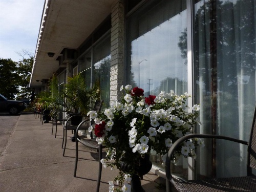 Catalina Motel image 33